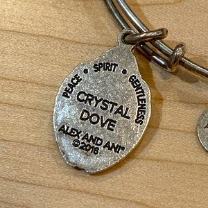 Alex and Ani Charm bracelet